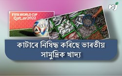 Qatar Bans Indian Seafood