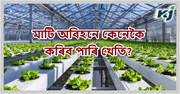 মাটি অবিহনে কৰিব পাৰিব খেতি;  জানক Hydroponics কৌশল কি? মাটি অবিহনে কৰিব পাৰিব খেতি;  জানক Hydroponics কৌশল কি?