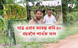 BENIFIT OF THE DRAGAON CULTIVATION