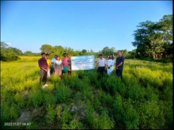 Tulsi Cultivation in Kokrajhar