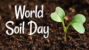 World Soil Day: মাটি সংৰক্ষণৰ গুৰুত্ব আৰু সংৰক্ষণৰ উপায়! World Soil Day: মাটি সংৰক্ষণৰ গুৰুত্ব আৰু সংৰক্ষণৰ উপায়!