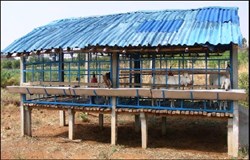 Simple Goat Shed Design