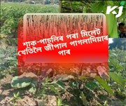 পাগলাদিয়া পাৰত কৃষি বিপ্লৱ আলায়াৰন আবাদাৰী কৃষিপাম সমবায় সমিতিৰ