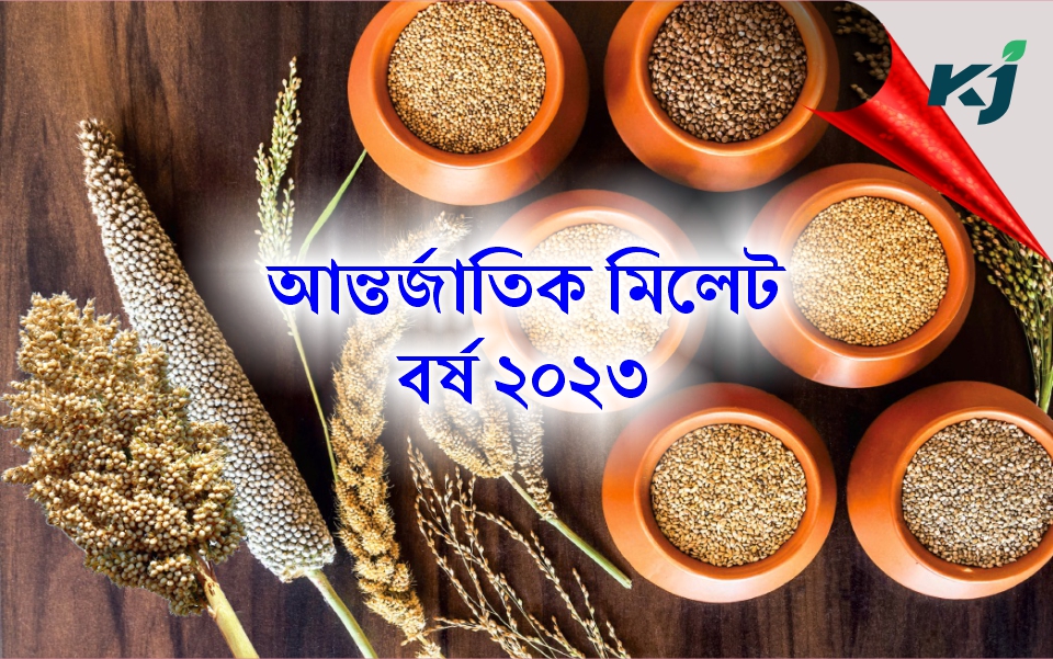 International Millet year 2023 আন্তৰ্জাতিক মিলেট বৰ্ষ ২০২৩