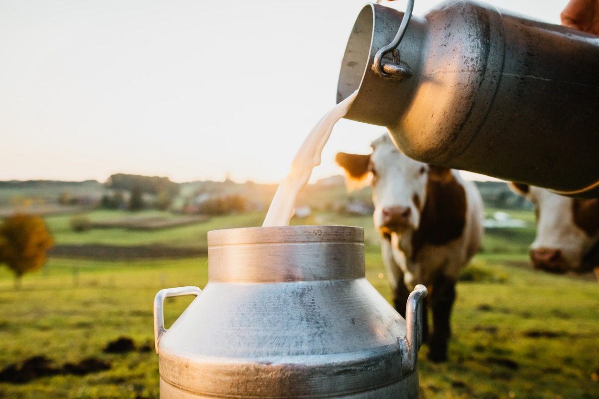 American technology for milk production