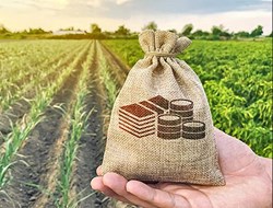 Govt Likely To Allocate Funds To Support Agri Startups