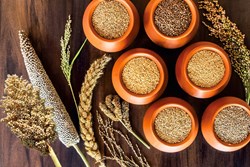 Millet : A solution to health and nutritional security