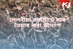 Vermicomposting & Bio Fertilizers Industries