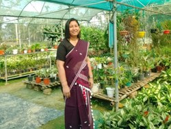 Successful farmer Minakshi Duwori from charaideo