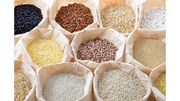 সু স্বাস্হ্য ৰক্ষাত মিলেট: Millet in good health care সু স্বাস্হ্য ৰক্ষাত মিলেট: Millet in good health care