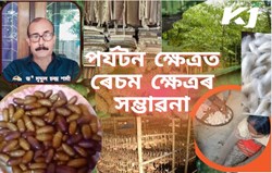 Potential of silk sector in tourism