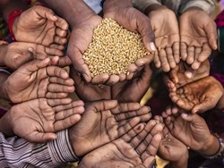 Over 80 Crore To Get Free Foodgrain For A Year In New Scheme
