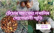 মনত পৰেনে  আঘোণ আহিলেই চেঁচোৰ বিচাৰি ফুৰা  সেই দিনবোৰ...