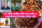 Silk farming- এৰী খোলা আৰু লেটা উৎপাদনৰ অৰ্থনৈতিক লাভালাভ