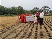 মৰিগাঁৱত ২৫ কৃষকক Zero Tillage পদ্ধতিত আলু খেতিৰ প্ৰশিক্ষণ 