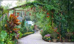 Akhil Gogoi Opened New Orchid Park in Sivsagar