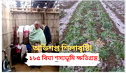কৃষকৰ পথাৰত প্ৰকৃতিৰ ধ্বংসলীলাঃ শিলাবৃষ্টিত ক্ষতিগ্ৰস্ত ১৮৫ বিঘা শস্য ভূমি