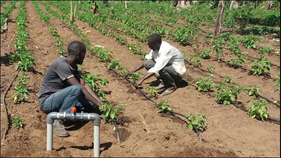 drip irrigation technology