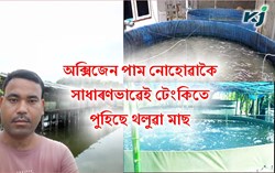biofloc fish farming in Dhemaji