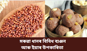 Finger Millet, মৰুৱা ধান বা ৰাগীৰ বিবিধ ব্যঞ্জন আৰু ইয়াৰ উপকাৰিতা  