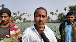 Panchayat precedent appreciated for farming in 35 bighas of land