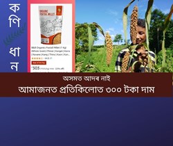 Foxtai millet farming in Assam, online market price, recipe
