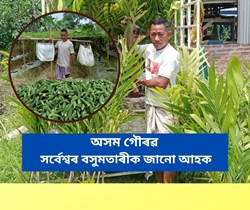 Assam Gaurav awardee farmer Sarbeswar Basumatary