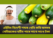 এইবিধ বিদেশী শস্যৰ খেতি কৰি অসমৰ খেতিয়কেও ঘটিব পাৰে লাখে লাখে টকা 