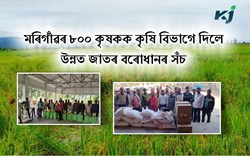 Upcoming Bodo Paddy  Farming Time