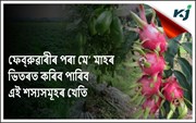 বান্দৰৰ পৰা একো কৰিব নোৱৰা অঞ্চলতো কৰিব পাৰিব ৪ বিধ খেতি