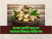 Assam Karbi Anglong Ginger: GI স্বীকৃতি প্ৰাপ্ত অসম কাৰ্বি আংলং আদাৰ বিষয়ে সবিশেষ