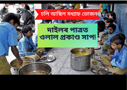 Snake found in mid day meal