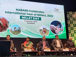 NABARD Launches Model Millet Project in Various Districts of Assam