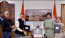 Rabi crop area increased  to 526 lakh hectares