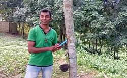 Rubber and tea cultivation by former Indian army soldier