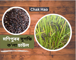 GI tagged aromatic black rice- Chak Hao of Manipur