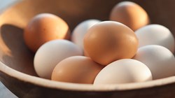 Health benefits of egg