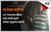 সন্তানক উচ্চশিক্ষিত কৰিও ২৮ বছৰে গো-পালন কৰি আহিছে মনশ্বৰ কলিতাই