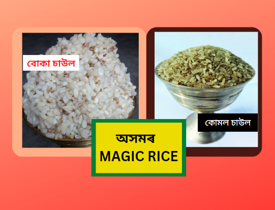 Komal Rice