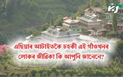 Occupation of Asia Richest villagers