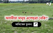Is it true that Assamese people are lazy : অসমীয়া মানুহ এলেহুৱা নেকি? 
