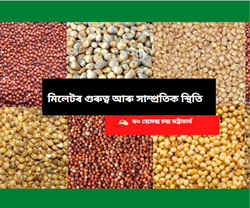 Importance of millet and present scenario