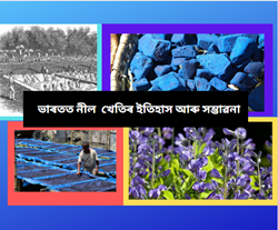 Indigo cultivation in India