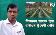বিশ্বনাথত প্ৰগতিশীল কৃষক পুণ্য প্ৰসাদ খাউণ্ডৰ ষ্ট্ৰ’বেৰী খেতি