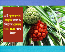 1 litter oil produced from this flower costs 4.5 lakh rupees