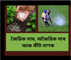 Organic fertilizer, inorganic fertilizer and pesticides