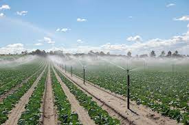 Water Management in Agriculture Sector