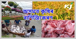 Commercialization of Agriculture in Assam