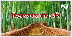 Scientific bamboo farming in Assam