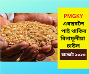 PMGKAY: ২০২৪লৈ ভোকত থাকিব নালাগে দেশৰ কোনো দৰিদ্ৰ
